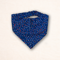 Firecracker Swirls Scrunch & Wag Bandana