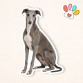Greyhound Sticker