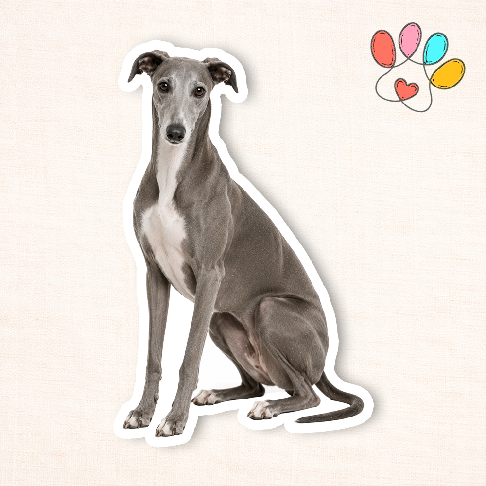 Greyhound Sticker