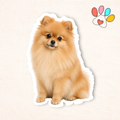 Pomeranian Sticker
